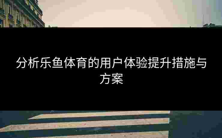 分析乐鱼体育的用户体验提升措施与方案